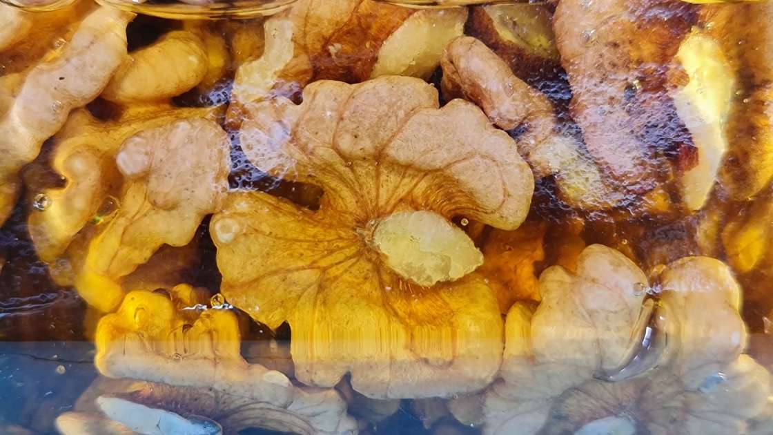Cerneaux de noix avec du miel dans un pot, photo 5