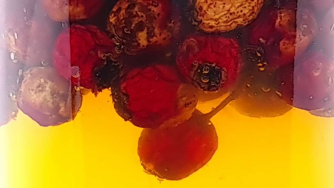 Macératé de fruits d'aubépine au miel, photo 5