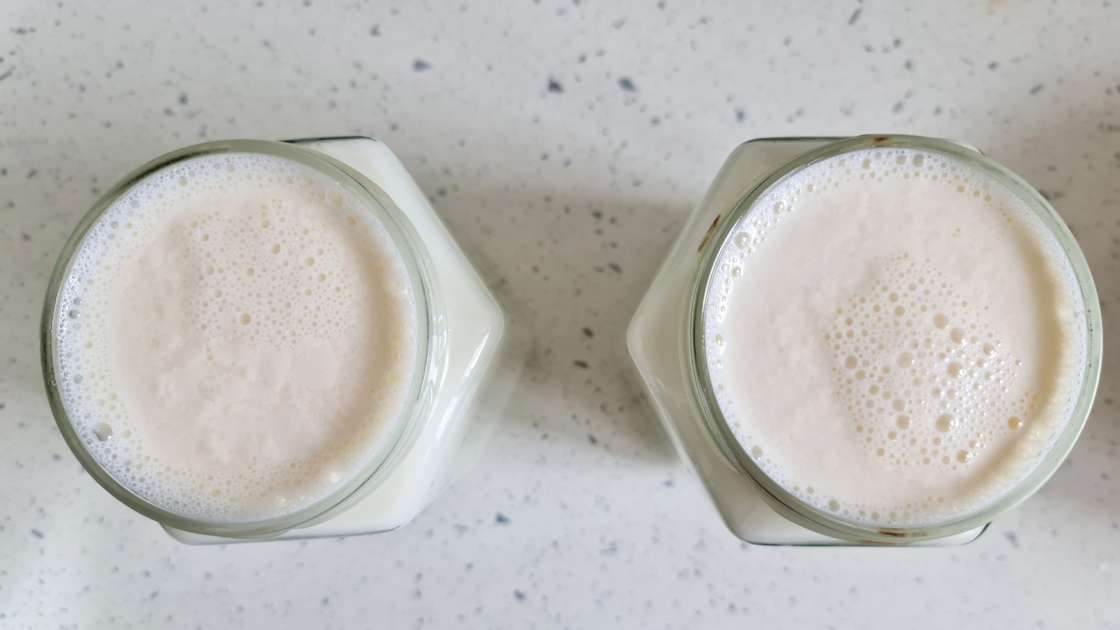 Yaourt maison à base de lait fermenté et de crème fraîche, photo 1