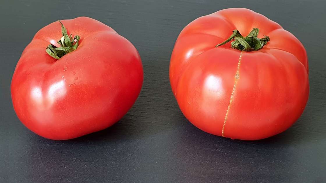 Le jus de tomate frais avec du miel pour renforcer les os et les articulations, photo 2