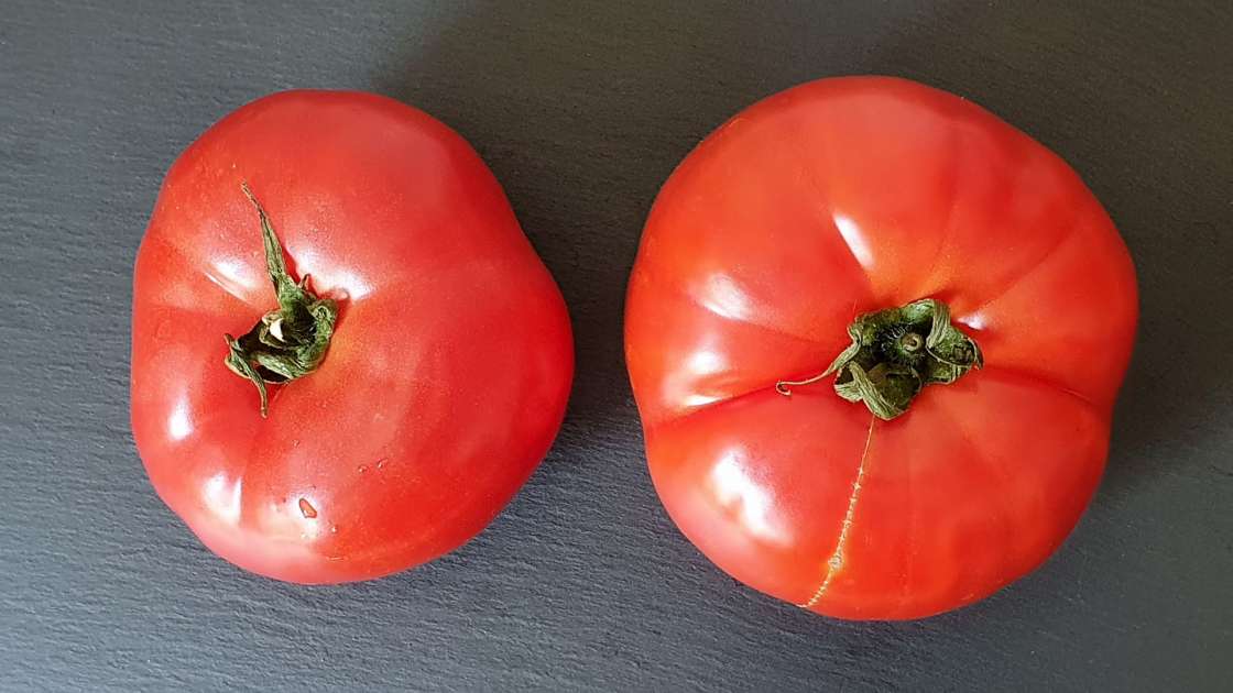 Le jus de tomate frais avec du miel pour renforcer les os et les articulations, photo 3