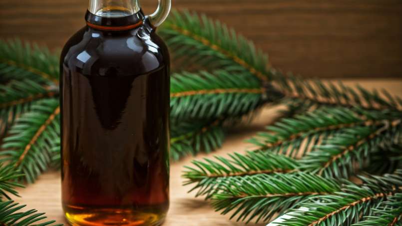 Sirop de bourgeon de sapin