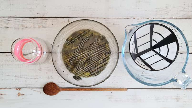 Huile d'ortie obtenue par transfert et au bain-marie, photo 10
