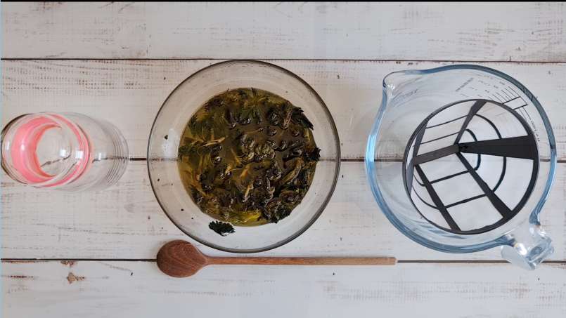 Huile d'ortie obtenue par transfert et au bain-marie, photo 11