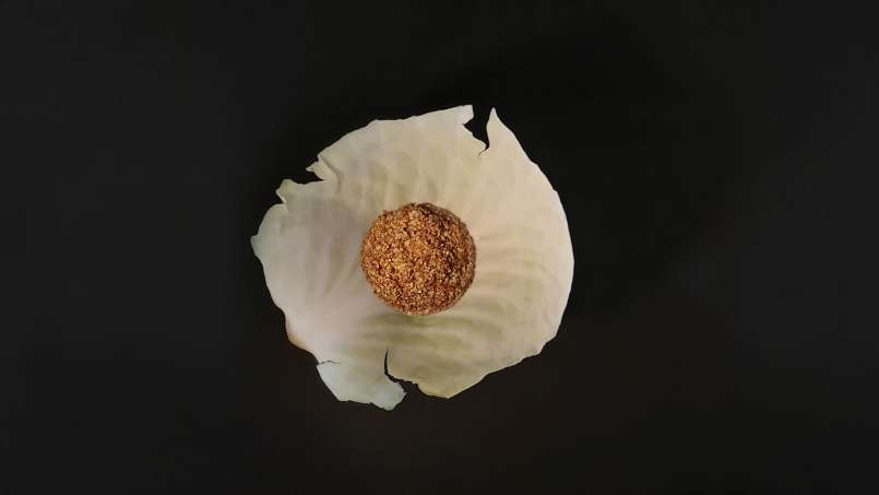 Cataplasme avec Feuilles de chou et Son de bortsch, photo 9