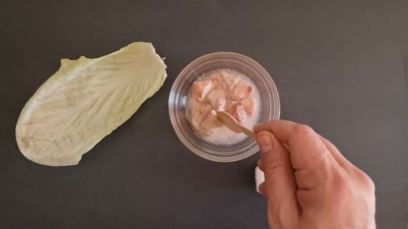 Cataplasme à l'argile et feuille de chou, photo 2