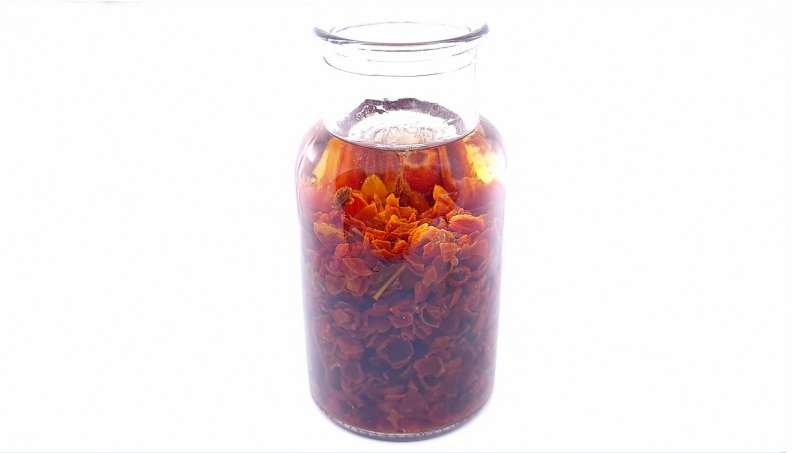 Teinture de fruits d'églantier (cynorrhodons) séchés dans l'alcool, photo 5