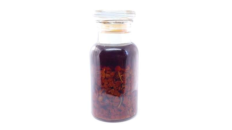 Teinture de fruits d'églantier (cynorrhodons) séchés dans l'alcool, photo 6