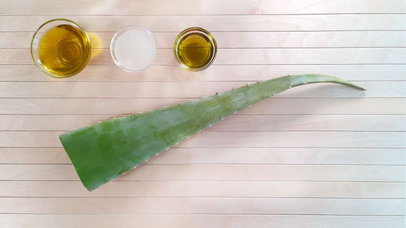 Crème d'Aloe Vera à l'huile d'olive, à l'huile de pépins de raisin et à l'huile de noix de coco, photo 2