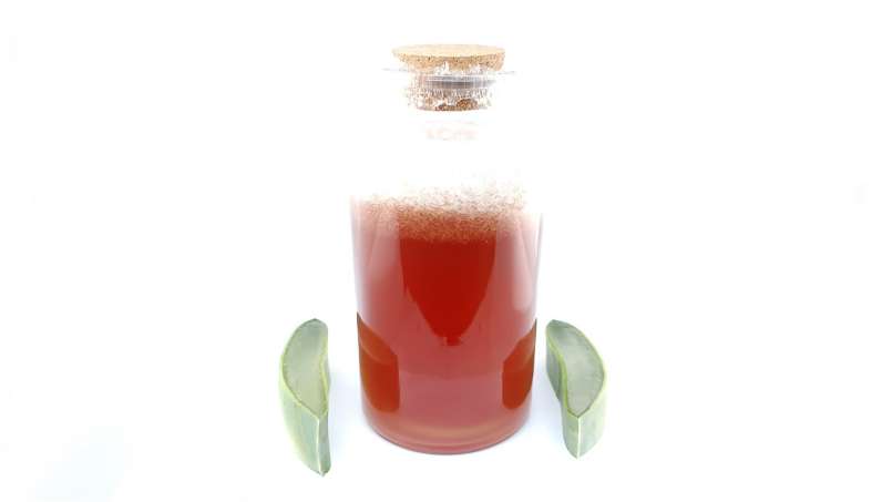 Boisson tonique à l'aloe vera, vin et miel, photo 2