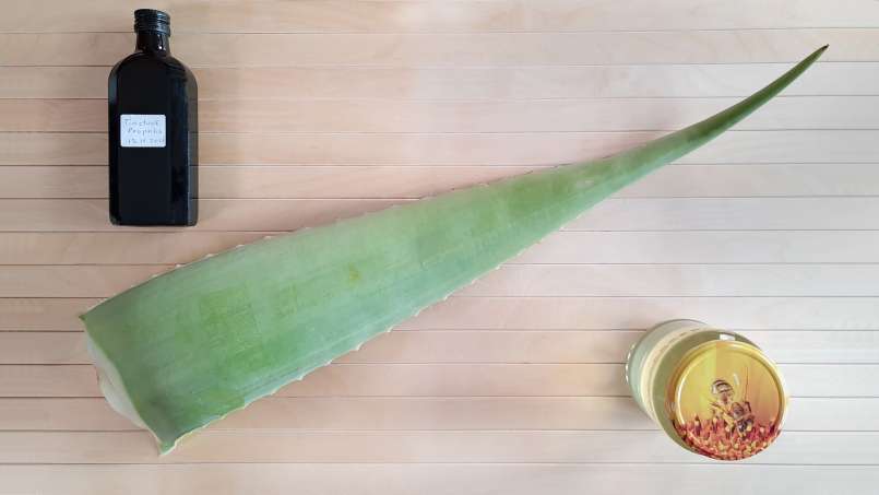 Macérat d'Aloe Vera au Miel et Teinture de Propolis, photo 4