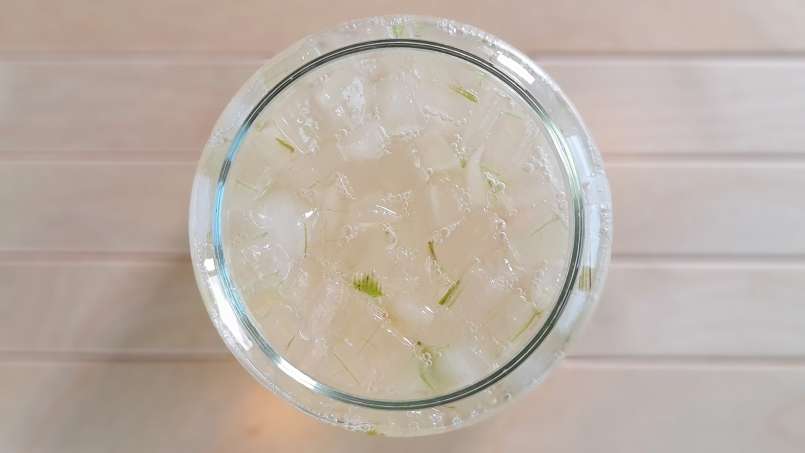 Macérat d'Aloe Vera au Miel, photo 3