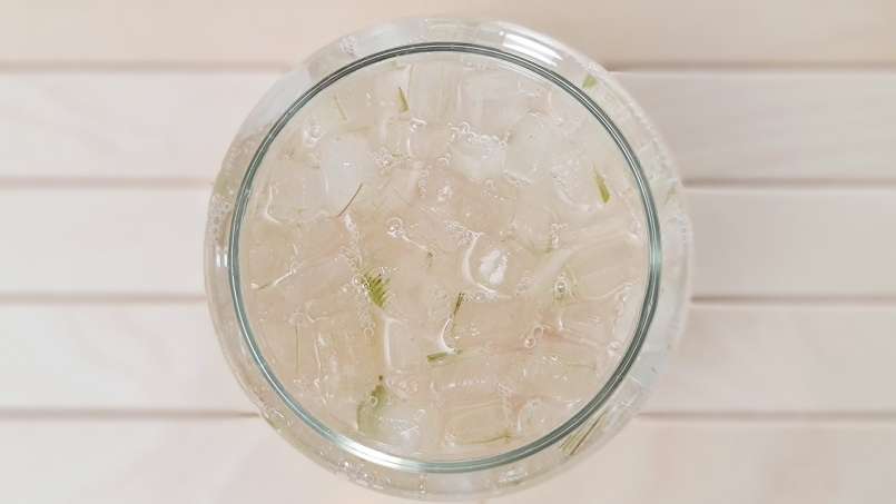 Macérat d'Aloe Vera au Miel, photo 4