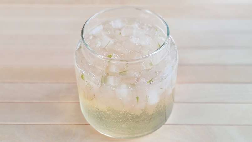 Macérat d'Aloe Vera au Miel, photo 5