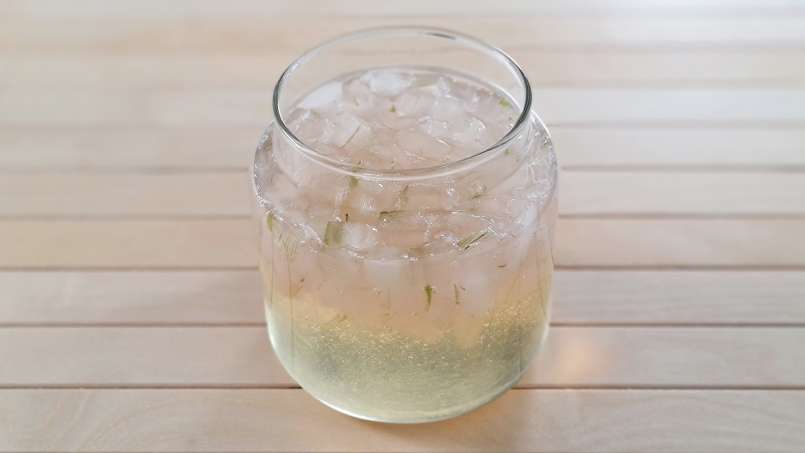 Macérat d'Aloe Vera au Miel, photo 6