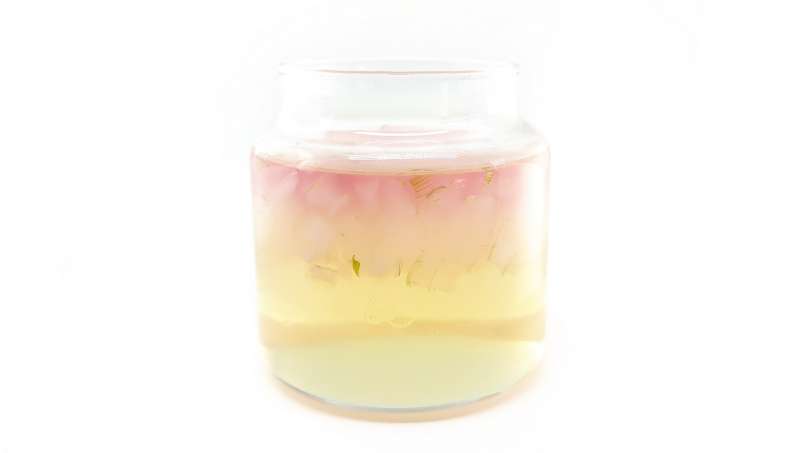 Macérat d'Aloe Vera au Miel, photo 13