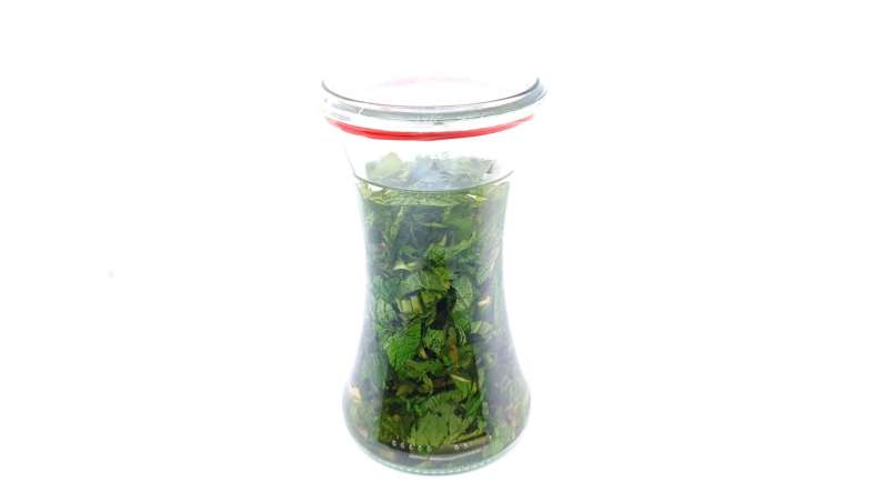 Teinture de menthe, photo 2