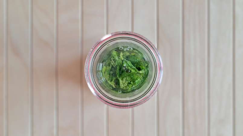 Teinture de menthe, photo 4