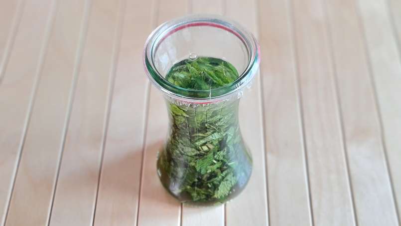 Teinture de menthe, photo 5