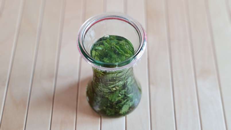 Teinture de menthe, photo 6