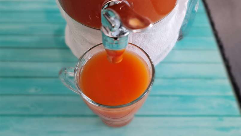 Cidre d'églantier au miel, citron et menthe, photo 10