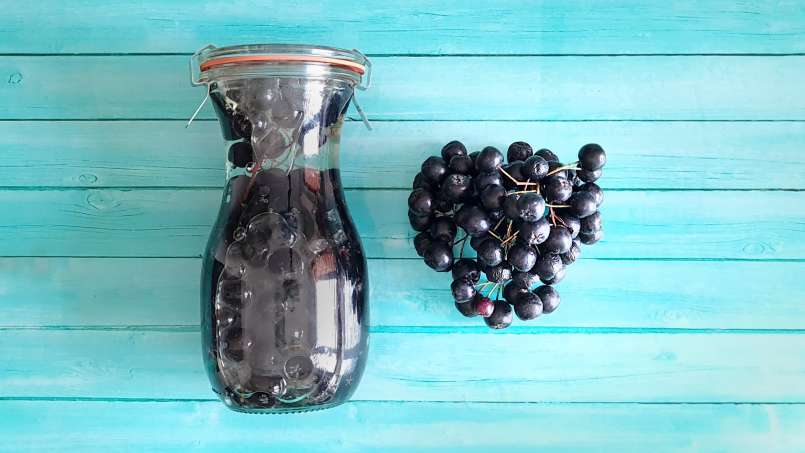 Grappes d'Aronia au miel dans un bocal, photo 2