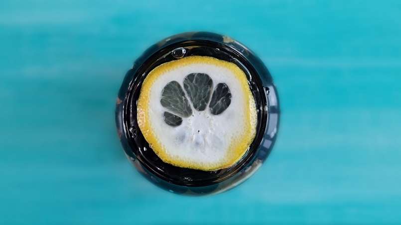 Baies d'Aronia au citron et gingembre macérées dans du miel, en bocal, photo 3