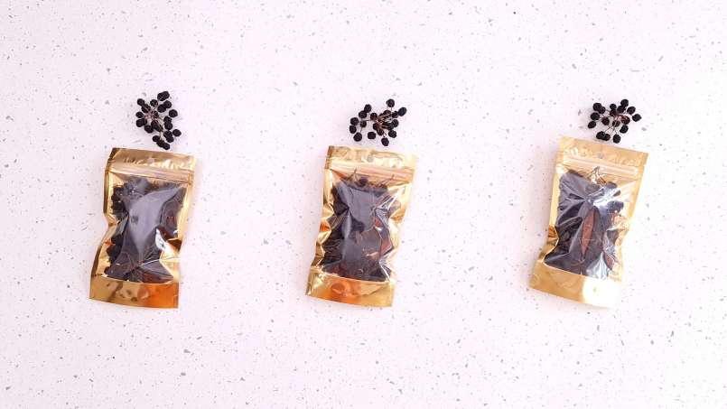 Séchage des fruits de l'aronia dans un déshydrateur, photo 11