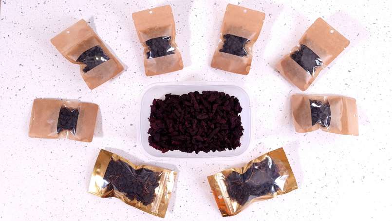 Séchage des fruits de l'aronia dans un déshydrateur, photo 12