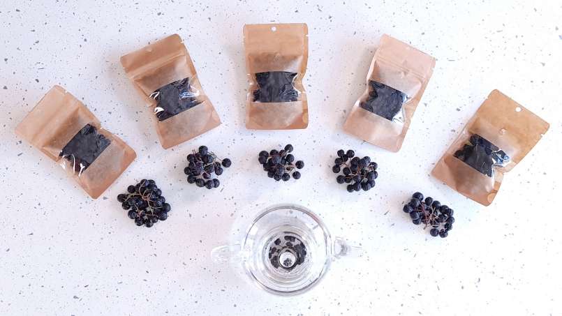Séchage des fruits de l'aronia dans un déshydrateur, photo 13