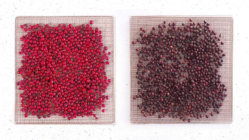 Déshydratation des fruits d'aubépine, pour le thé, photo 3