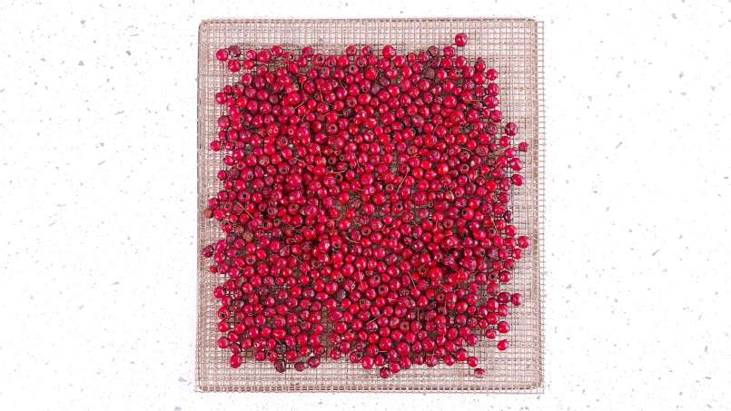 Déshydratation des fruits d'aubépine, pour le thé, photo 4