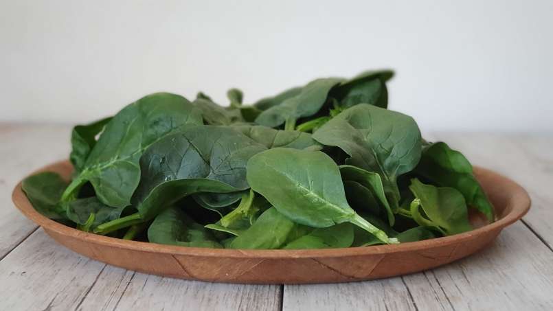 Smoothie énergisant riche en chlorophylle, photo 4