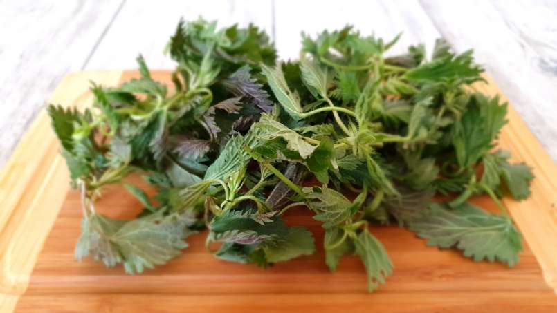 Smoothie énergisant riche en chlorophylle, photo 5