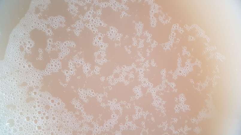 Sirop de bourgeon de pin, photo 4