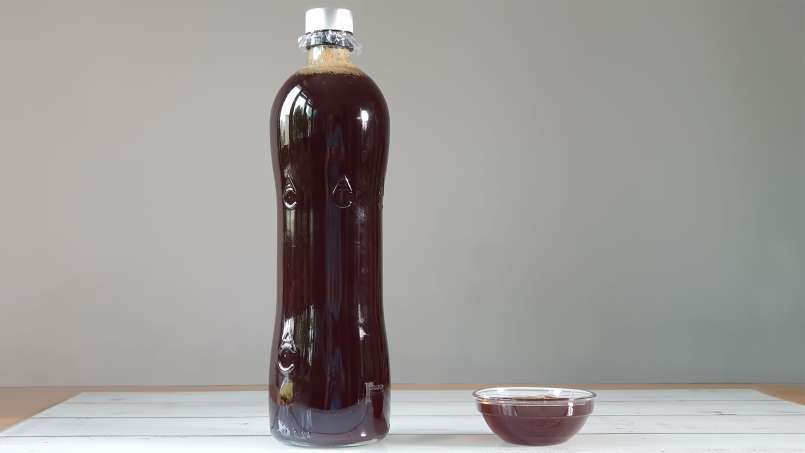 Sirop de bourgeon de pin, photo 5