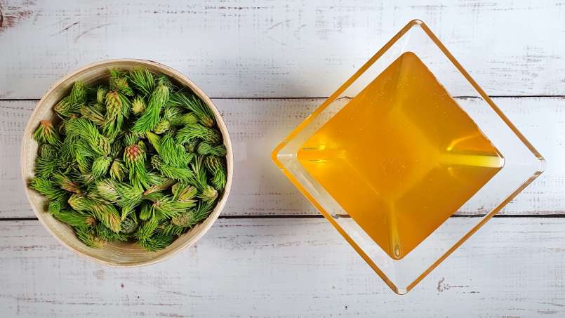 Macérat de bourgeons de pommes de pin avec du miel, photo 7