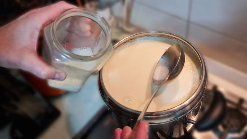 Yaourt maison à base de lait fermenté et de crème fraîche, photo 3