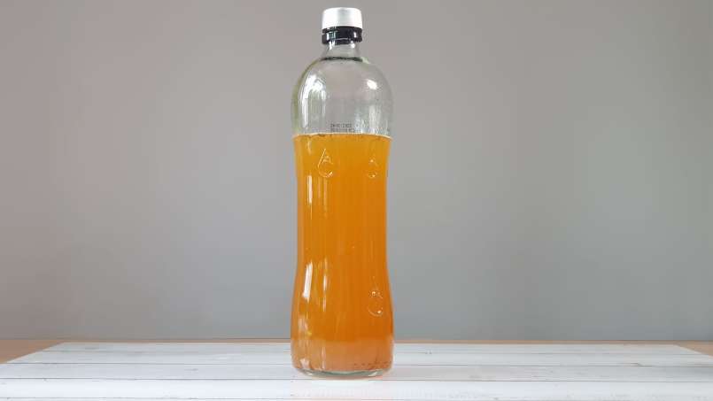 Macérat de rhubarbe avec du miel, du thé vert, de la menthe et diverses épices, photo 11