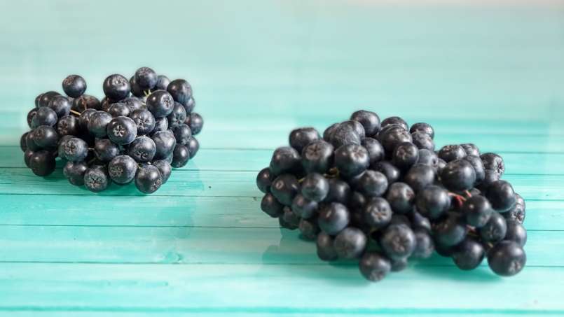 Sirop d'aronia au miel, photo 9