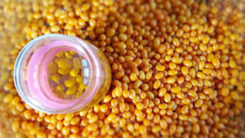 Transfert-transfert d'huile de raisin sec, photo 7