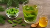 Bouillie de bourgeons de sapin pour les affections respiratoires
