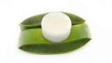 Crème d'Aloe Vera et Beurre de Coco