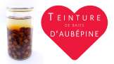 Teinture de baies d'aubépine fraîches